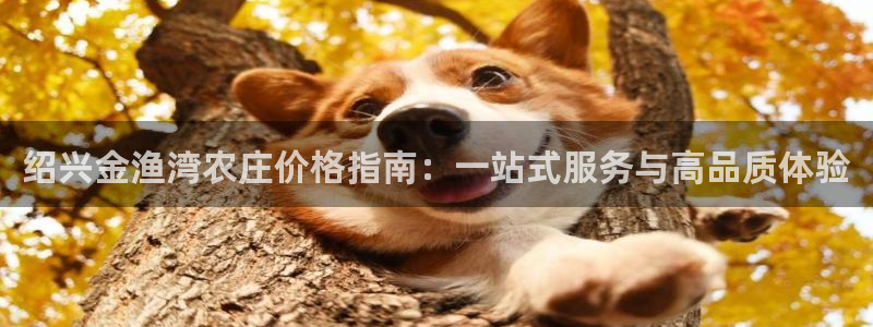 九游会手机官网：绍兴金渔湾农庄价格指南：一站式服务与高品质体