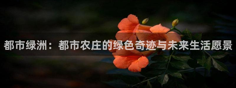 j9九游会登录入口首页旧版