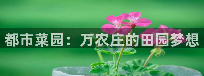 九游会官网入口在哪儿