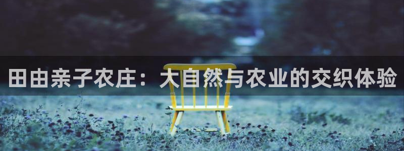 九游会网站多少