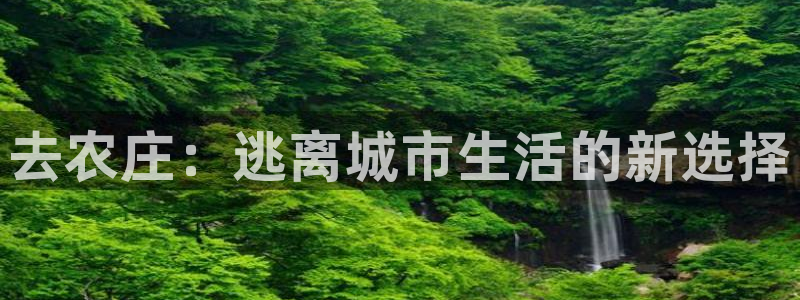 AG九游会优惠中心