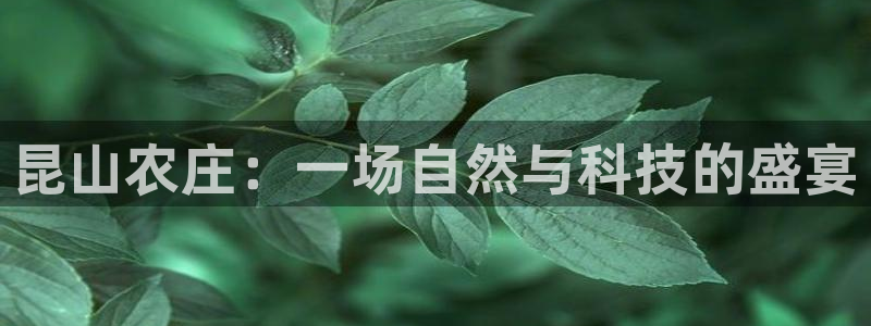 九游会官网九游会登录