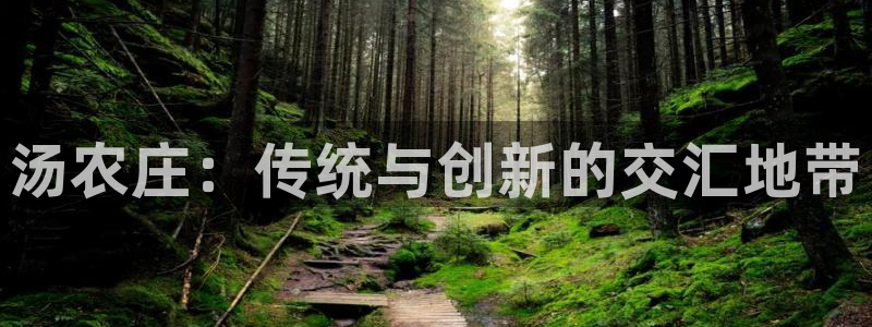 九游会数字货币