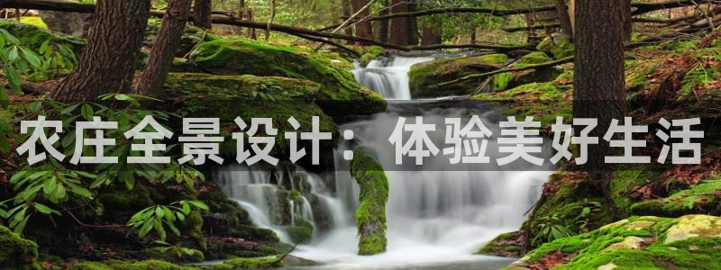 九游会登录最强版本答案