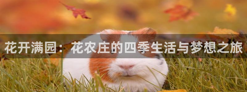 九游会游戏怎样充值