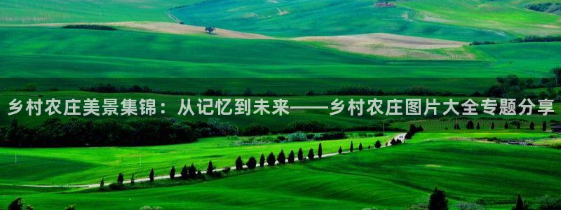 九游会体育捕鱼