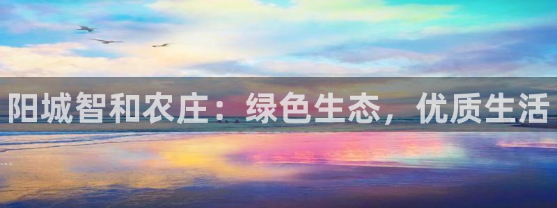 九游会注册登录