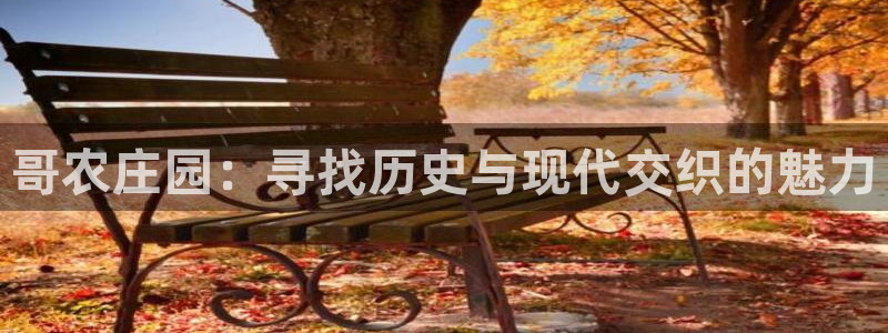 j9数字货币九游会