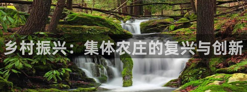 九游会网址导航