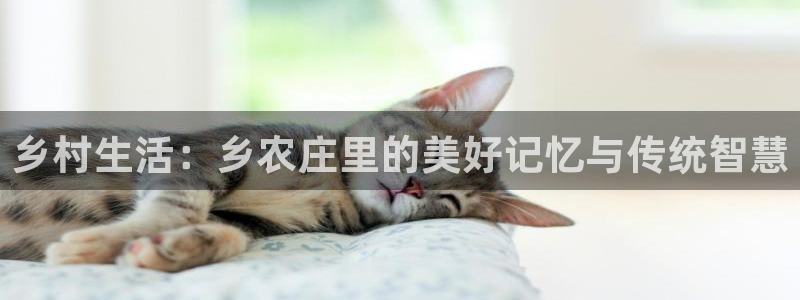 九游会论坛老哥