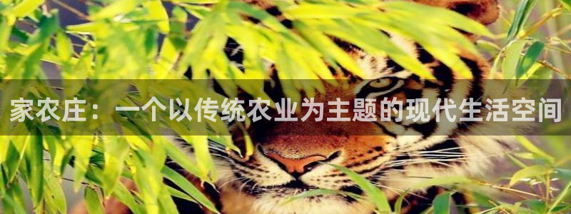 九游会游戏官网下载安装