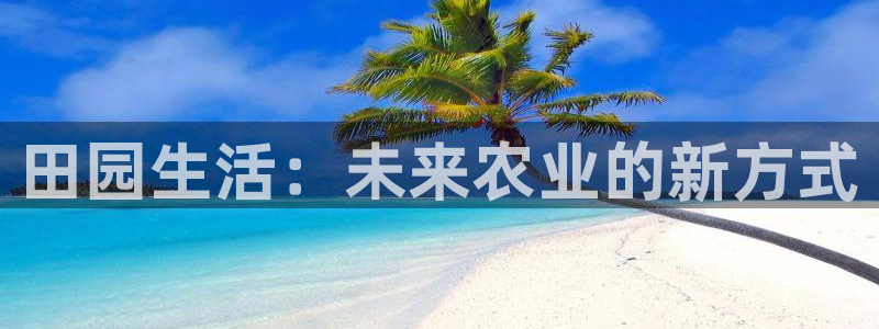 莉莉斯园游会九游