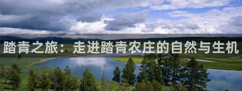 九游会手机端