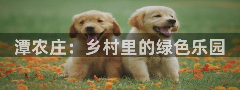 ag九游会亚洲官网