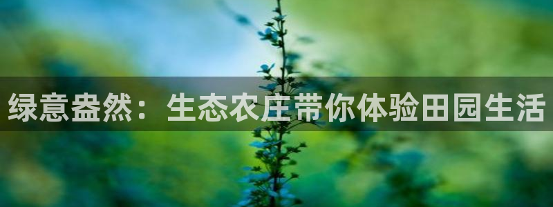 九游会ag首页