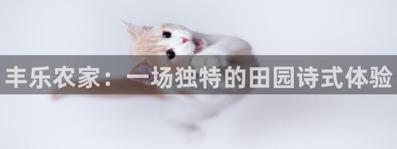 九游会电竞竞猜