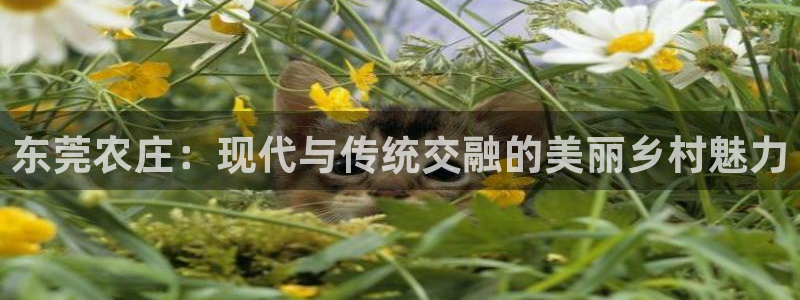 ag九游会只为非凡
