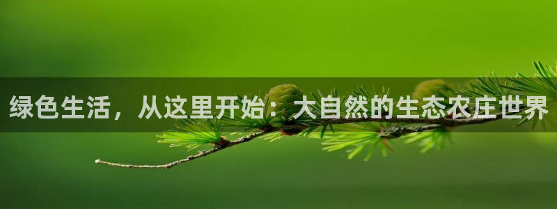 手机登录九游会