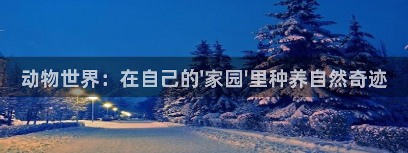 九游账号会丢吗吗