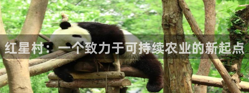 九游会官网登录中心