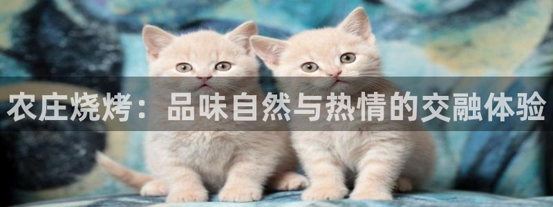 亚游集团九游会