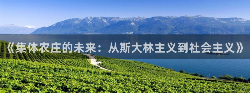 九游会手机app