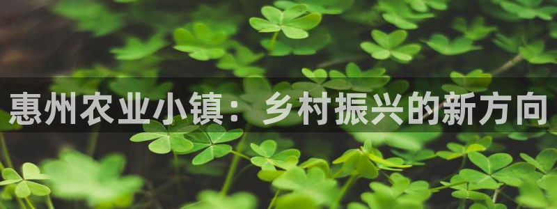 九阴手游青龙会怎么玩