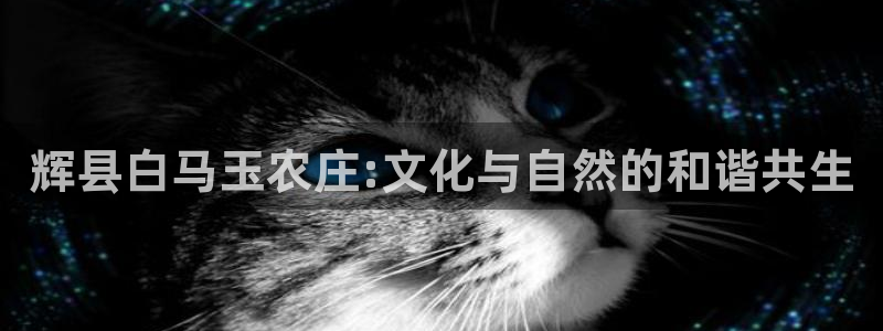九游会1001