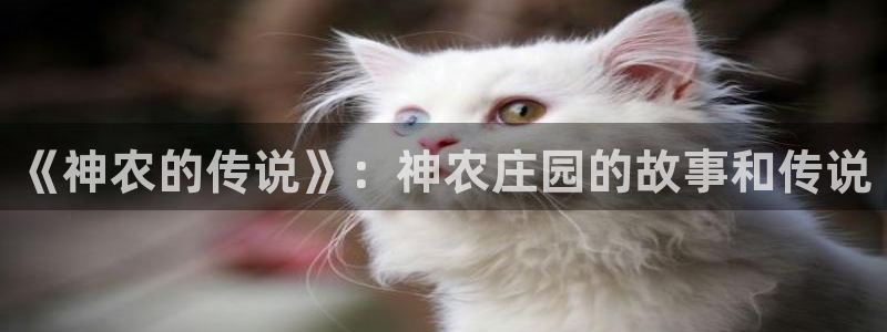 九游会官网贴吧下载