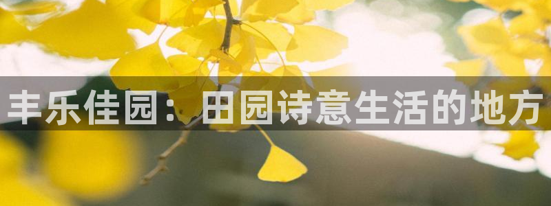 九游会官方正版下载