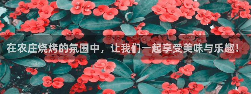 j9九游会官网入口