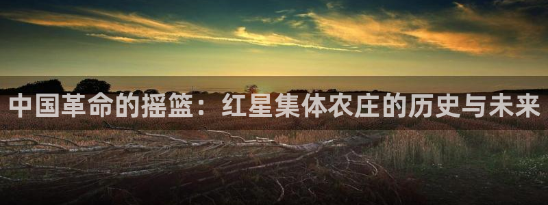 aj九游会