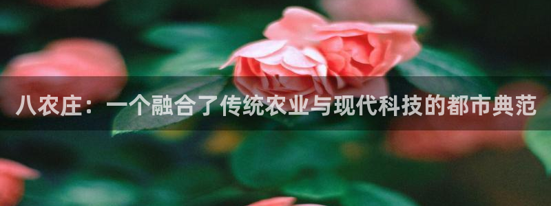 九曲灯游会介绍