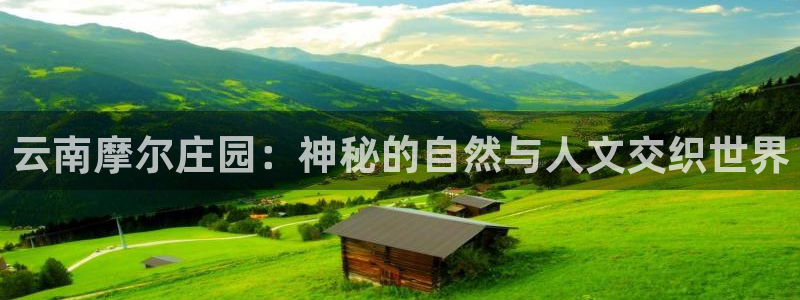 九游会俱乐部网址