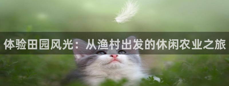 九游会腾讯视频