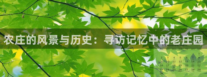 九游会老哥论坛