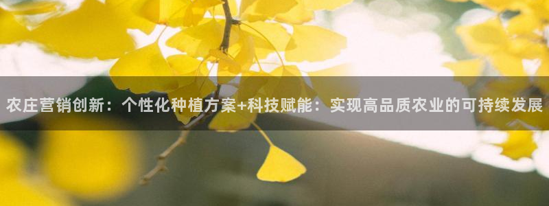 九游会网