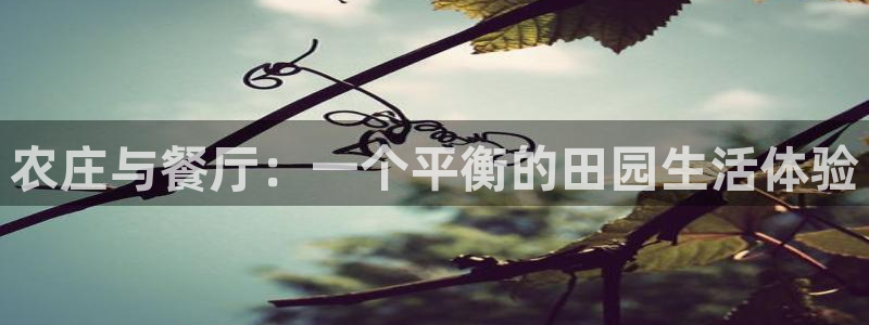 九游会官网入口在哪