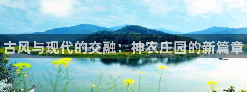 尊龙和九游会