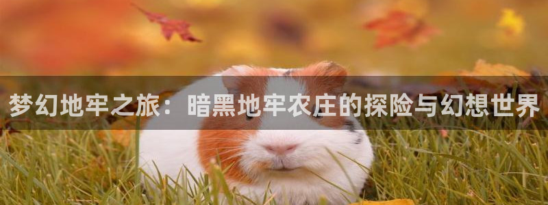 九游会代理政策