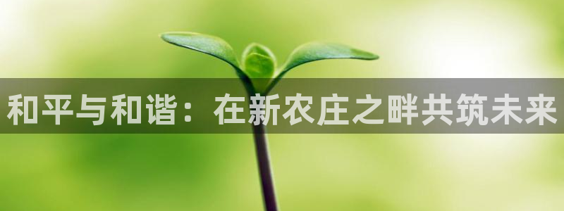九游会jy