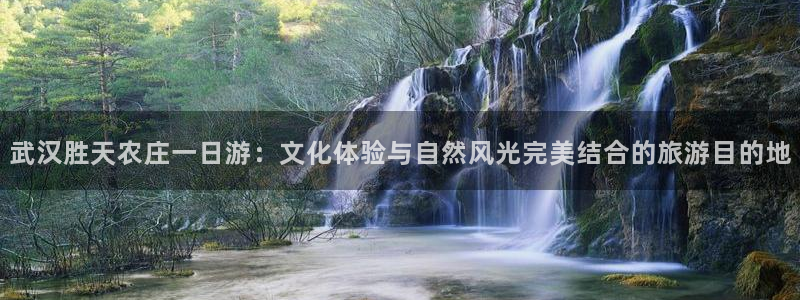 九游会j9官网ag