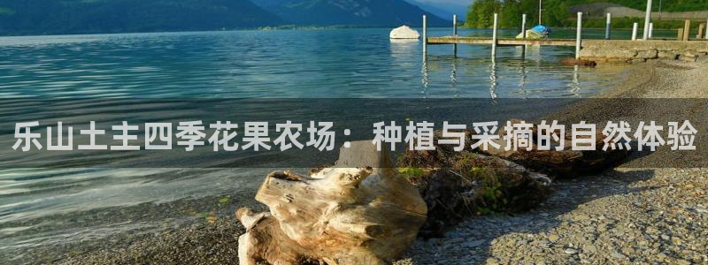usdt九游会