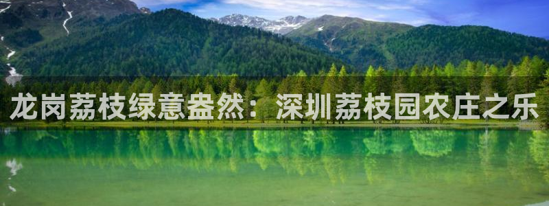 亚游和九游会