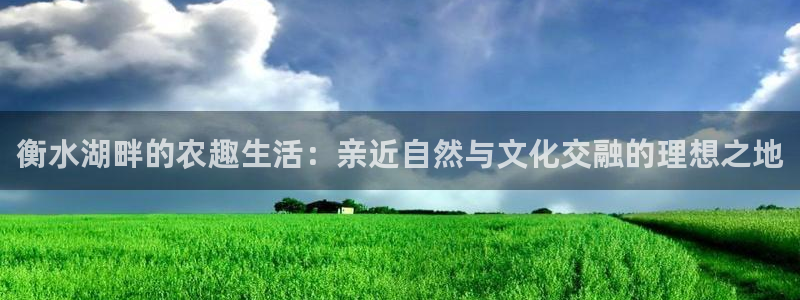 九游会ag网址大全