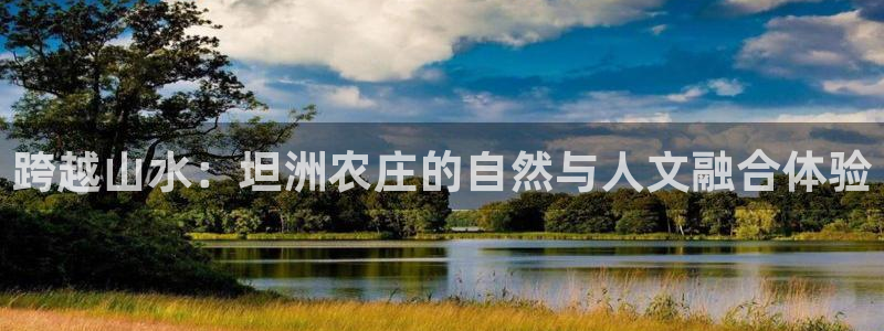 我的九游会