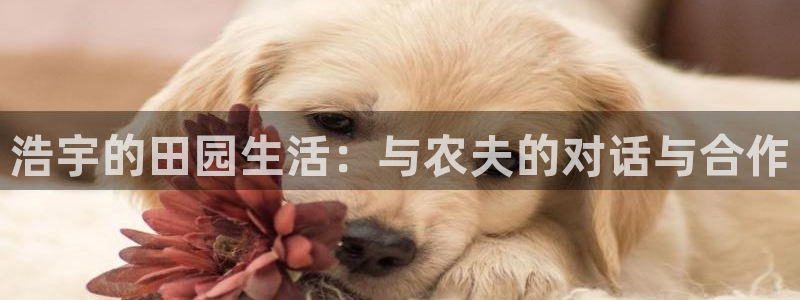 九游会路线入口