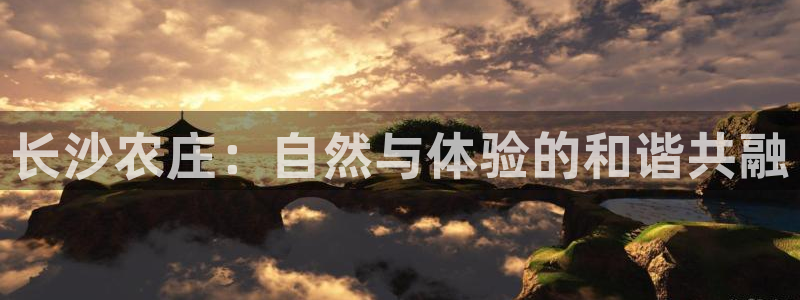 哪个才是九游会
