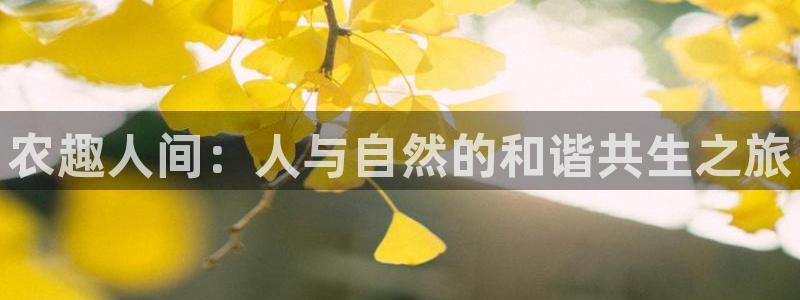 九游会黑台