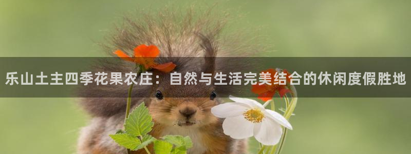 九游会跟币游